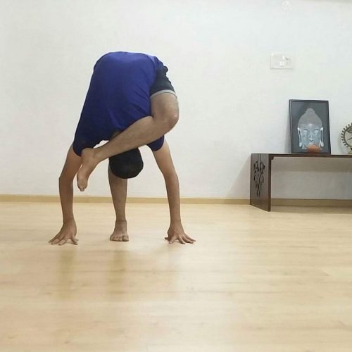 yoga teacher training in goa