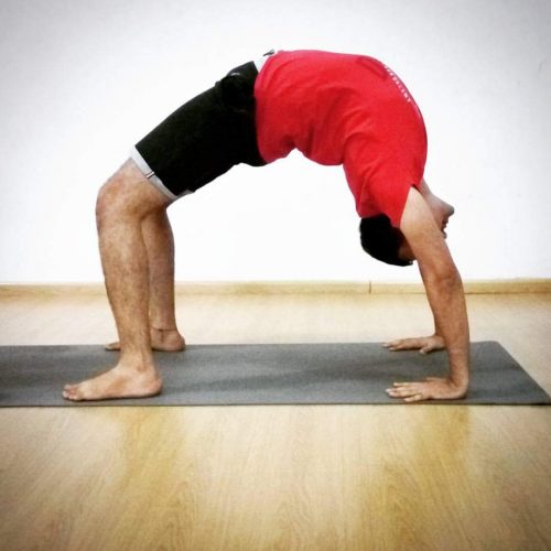 yoga teacher training in goa