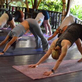 Bali Yoga School Bali Yoga School