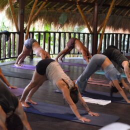 Bali Yoga School
