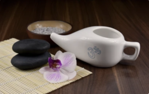 Bali Yoga Training