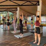 Drop In Yoga classes Agonda