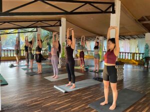 Drop In Yoga classes Agonda